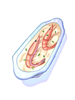 Ilustración de Chile Shrimp Gratin