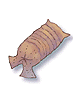 Ilustración de Earthworm Peeling