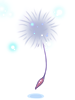 Ilustración de Mysterious Seed