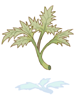 Ilustración de Herb of Incantation