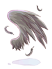 Ilustración de Crow Wing