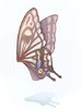 Ilustración de Giant Butterfly Wing
