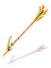 Ilustración de Elven Arrow
