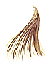 Ilustración de Golden Hair