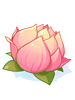 Ilustración de Charming Lotus