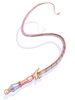 Ilustración de Queen's Whip