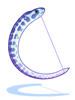 Ilustración de Zebra Eel
