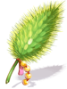 Ilustración de Foxtail Model