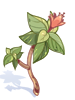 Ilustración de Poison Herb Makulata
