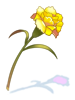 Ilustración de Mantis Flower