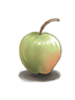 Ilustración de Unripe Apple