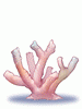 Ilustración de Coral Reef