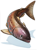 Ilustración de Salmon