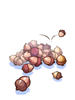 Ilustración de Pile Of Acorn
