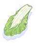 Ilustración de Bok Choy