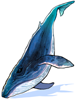 Ilustración de Blue Whale