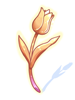 Ilustración de Golden Tulip Flower
