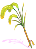 Ilustración de Enriched Foxtail Staff