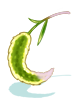 Ilustración de Long Foxtail Staff