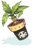 Ilustración de Mandragora Flowerpot
