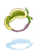 Ilustración de Foxtail Ring