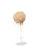 Ilustración de Sand Clump