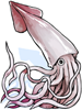 Ilustración de Giant Squid