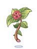 Ilustración de Poison Herb Rantana
