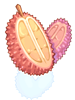 Ilustración de Red Prickly Fruit