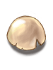 Ilustración de Egg Shell