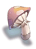 Ilustración de Orange Net Mushroom