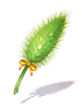 Ilustración de Beginner Foxtail Staff