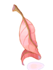 Ilustración de Red Herb