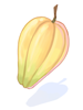 Ilustración de Cacao