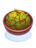 Ilustración de Savory Herb Salad