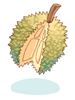 Ilustración de Durian