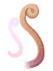 Ilustración de Yoyo Tail