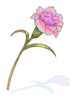 Ilustración de Magic Carnation