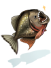 Ilustración de Piranha