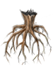 Ilustración de Tree Root