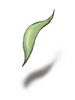 Ilustración de Romantic Leaf