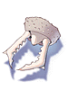 Ilustración de Ant Jaw