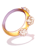 Ilustración de Floral Bracelet Of Aigu