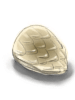 Ilustración de Scale Shell