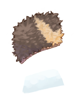 Ilustración de Black Bear Skin
