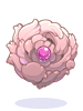Ilustración de Rosa Shield