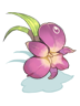 Ilustración de Orchid Hairband