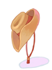 Ilustración de Cowboy Hat