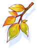 Ilustración de Golden Leaf