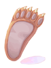 Ilustración de Bear's Footskin